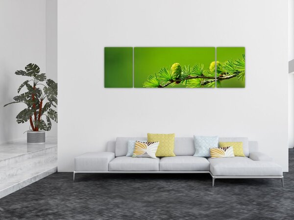 Obraz zielonej szyszki (170x50 cm)
