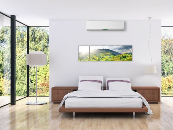 Obraz plantacji (170x50 cm)