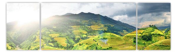Obraz plantacji (170x50 cm)