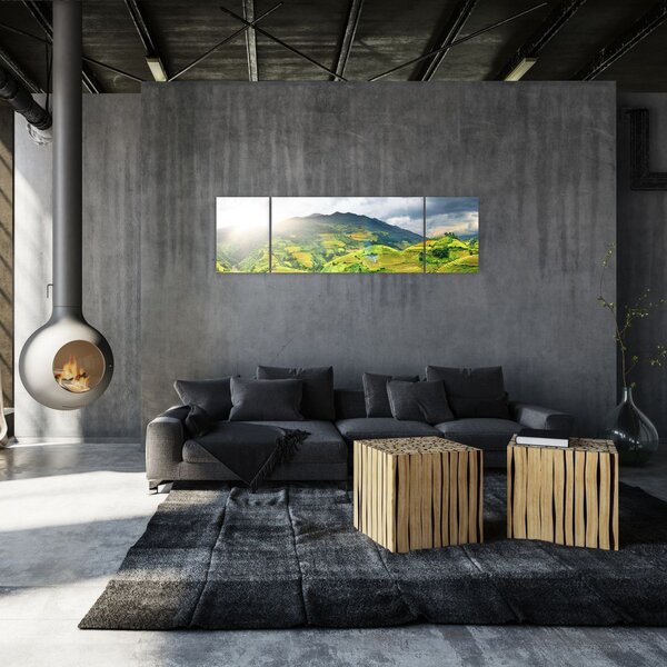 Obraz plantacji (170x50 cm)