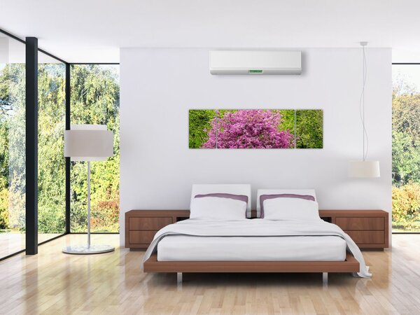 Obraz kwitnącego drzewa na łące (170x50 cm)