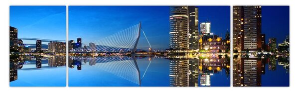 Zdjęcie - Rotterdam nocą (170x50 cm)