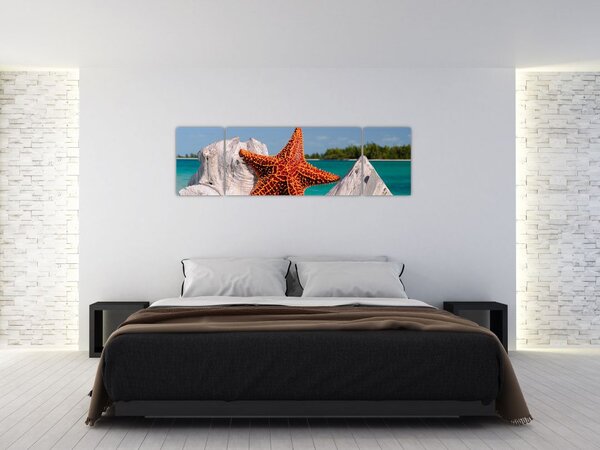 Obraz rozgwiazdy (170x50 cm)