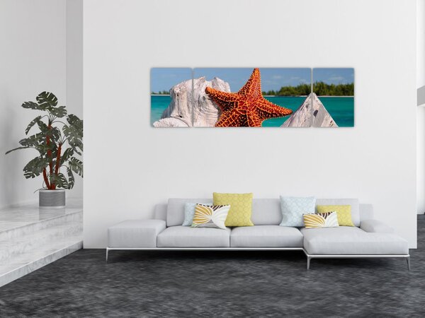 Obraz rozgwiazdy (170x50 cm)