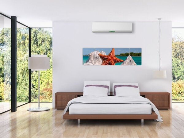 Obraz rozgwiazdy (170x50 cm)
