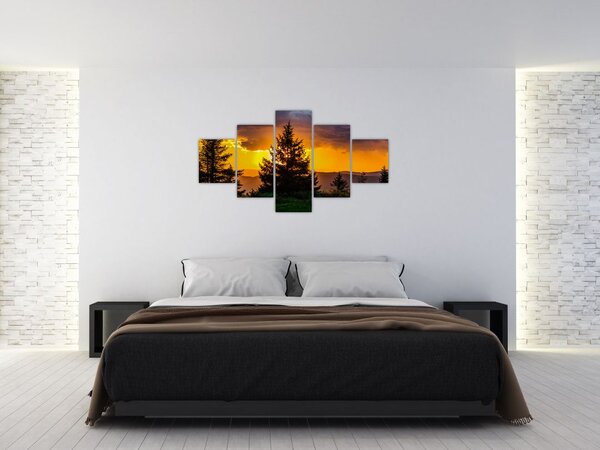 Obraz - drzewa iglaste (125x70 cm)