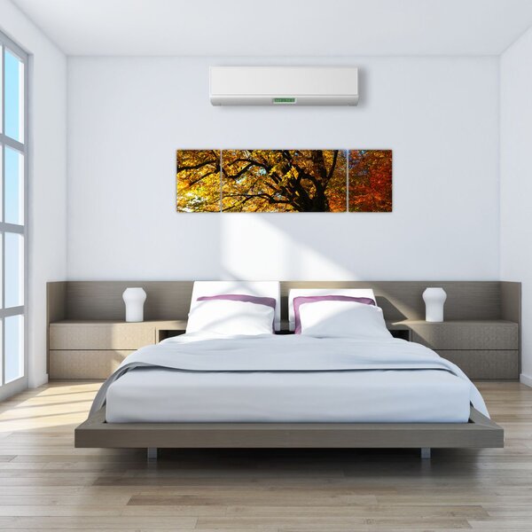 Obraz jesieni (170x50 cm)