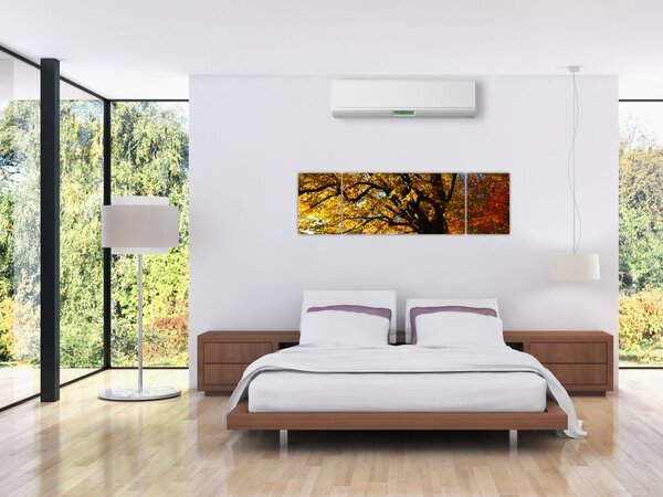Obraz jesieni (170x50 cm)
