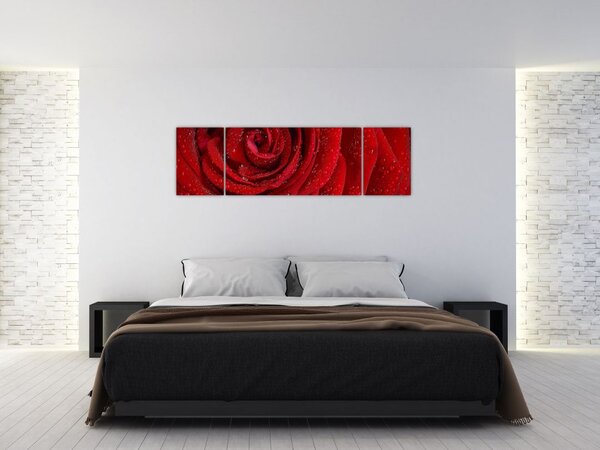 Obraz - szczegół róży (170x50 cm)