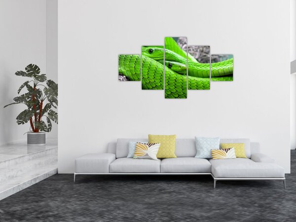 Obraz zielonych węży (125x70 cm)