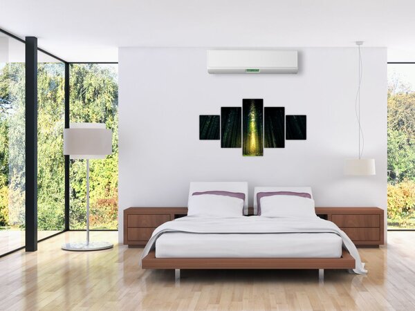 Obraz ciemnego lasu (125x70 cm)