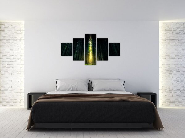 Obraz ciemnego lasu (125x70 cm)
