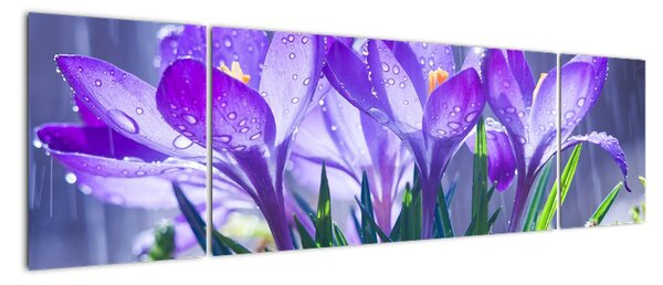 Obraz kwiatów w deszczu (170x50 cm)