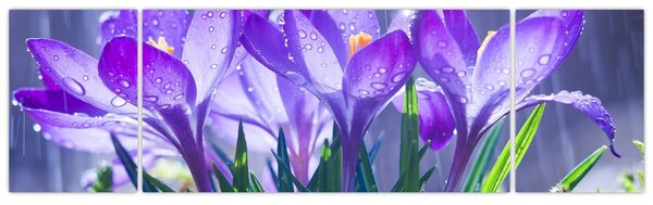 Obraz kwiatów w deszczu (170x50 cm)