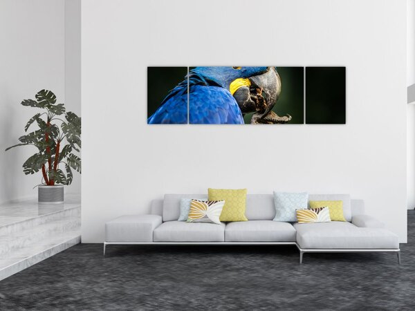 Obraz papugi (170x50 cm)