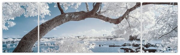 Obraz ośnieżonego drzewa nad wodą (170x50 cm)