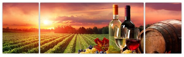 Obraz winnicy z winem (170x50 cm)
