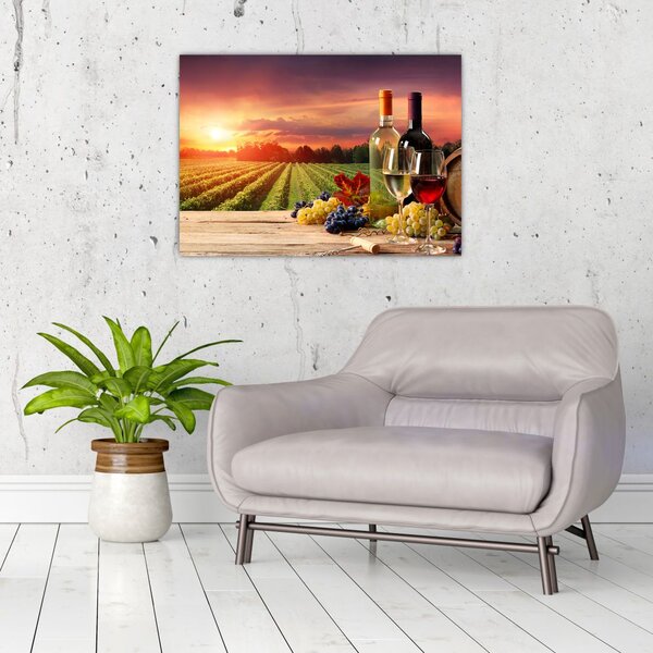 Obraz winnicy z winem (70x50 cm)