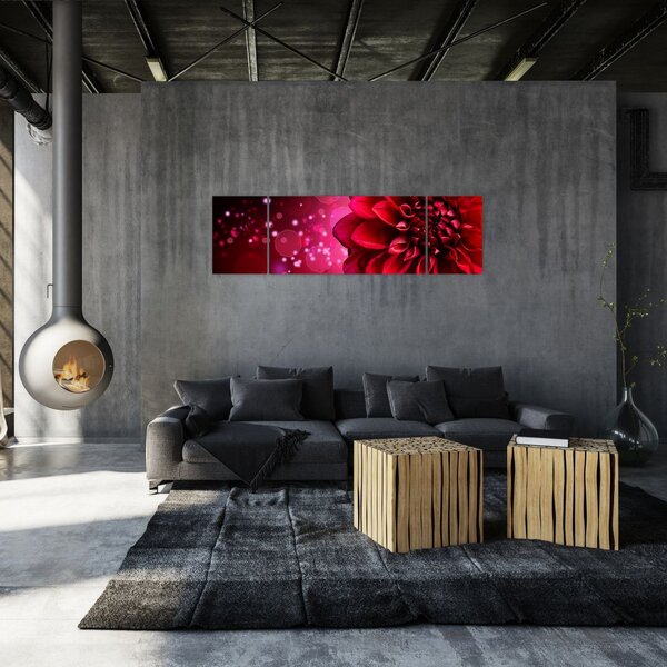 Obraz czerwonego kwiatu (170x50 cm)