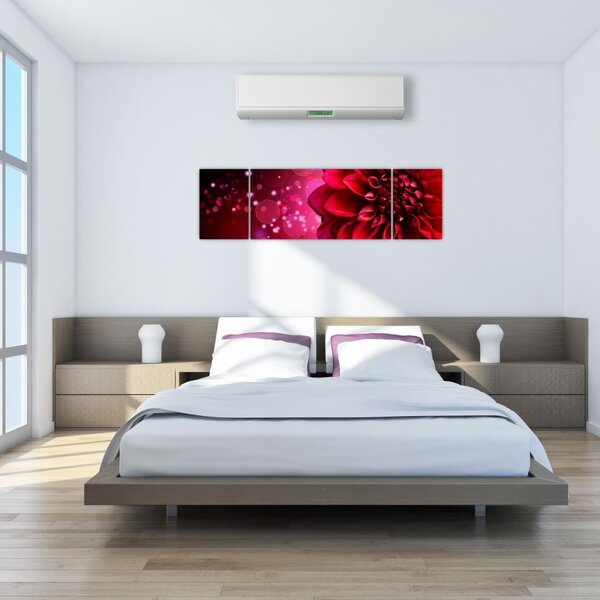 Obraz czerwonego kwiatu (170x50 cm)