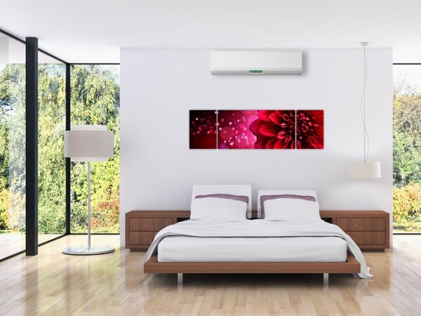 Obraz czerwonego kwiatu (170x50 cm)
