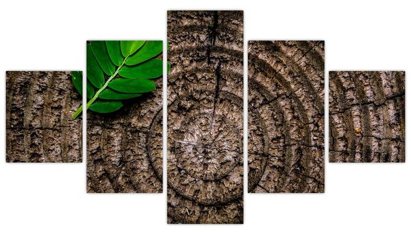 Obraz liścia na pniu drzewa (125x70 cm)