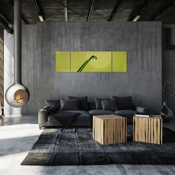 Obraz kropli wody na trawie (170x50 cm)