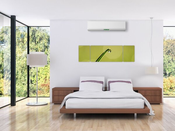 Obraz kropli wody na trawie (170x50 cm)