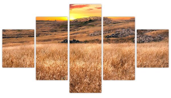 Obraz pola (125x70 cm)