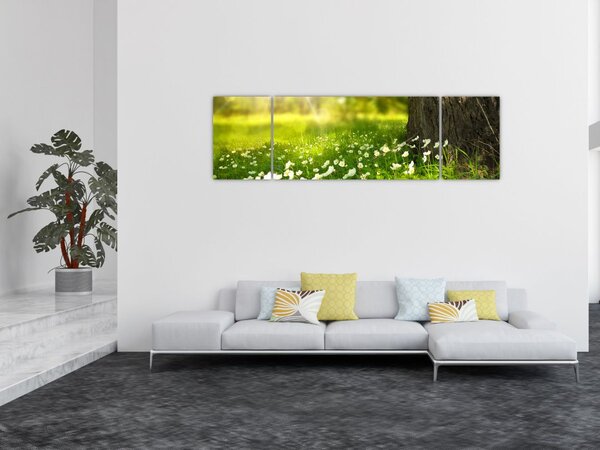 Obraz polany i kwiatów (170x50 cm)