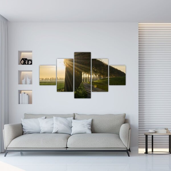 Obraz alei (125x70 cm)