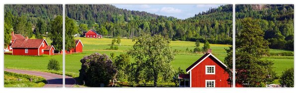 Obraz wsi (170x50 cm)