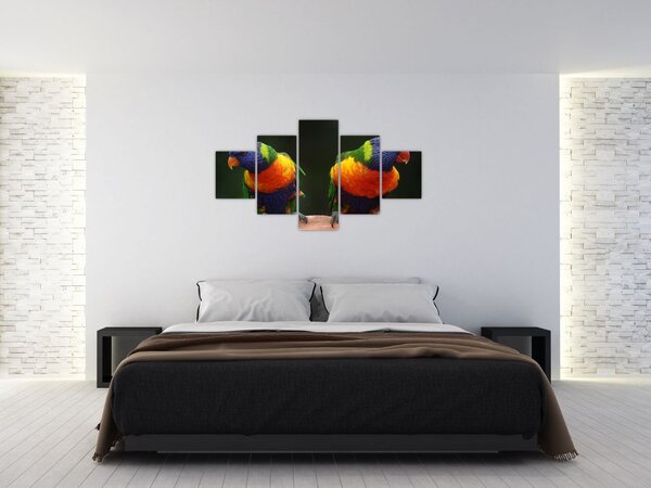 Obraz papug (125x70 cm)