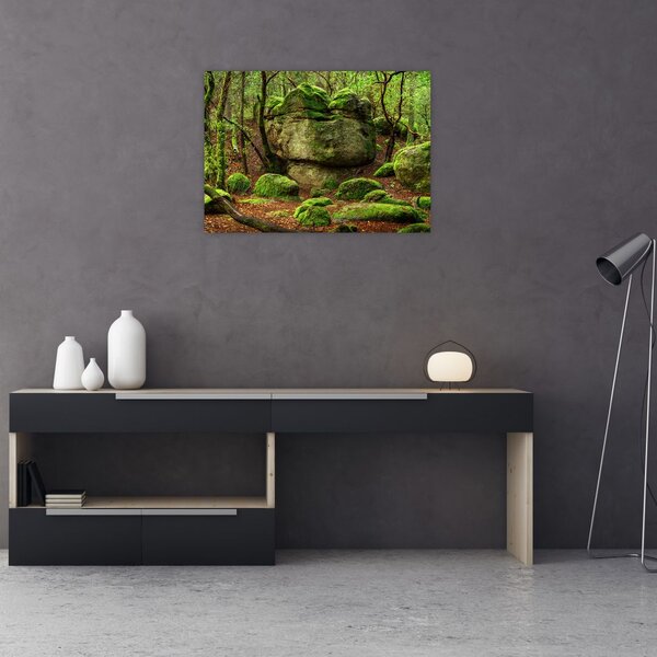 Obraz magicznego lasu (70x50 cm)