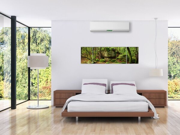 Obraz magicznego lasu (170x50 cm)