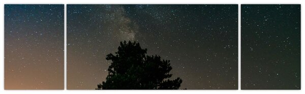 Obraz nocnego nieba z drzewami (170x50 cm)