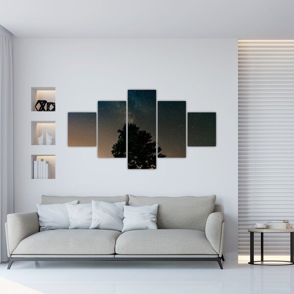 Obraz nocnego nieba z drzewami (125x70 cm)