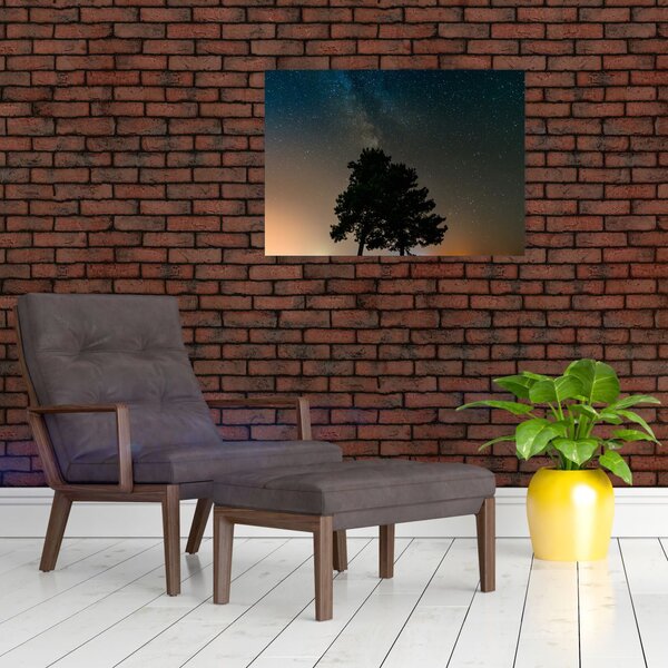 Obraz nocnego nieba z drzewami (70x50 cm)