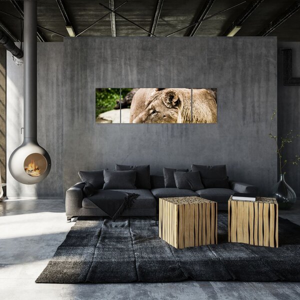 Obraz lwicy (170x50 cm)