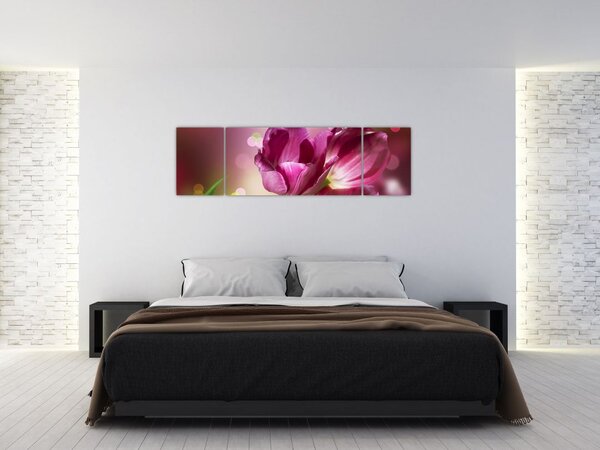 Obraz różowych tulipanów (170x50 cm)