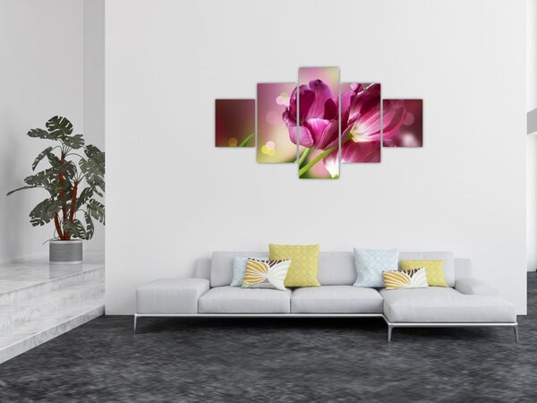 Obraz różowych tulipanów (125x70 cm)