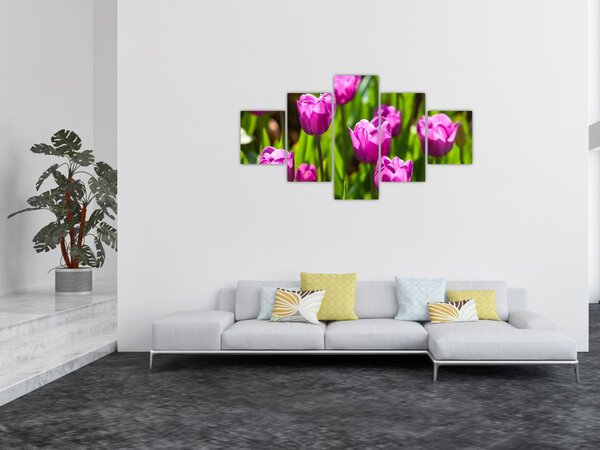 Obraz tulipanów na łące (125x70 cm)