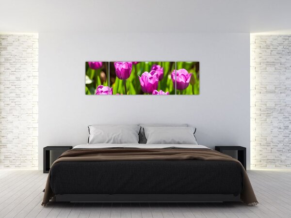Obraz tulipanów na łące (170x50 cm)