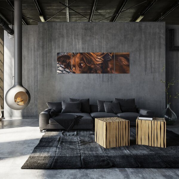 Obraz leżących psów (170x50 cm)