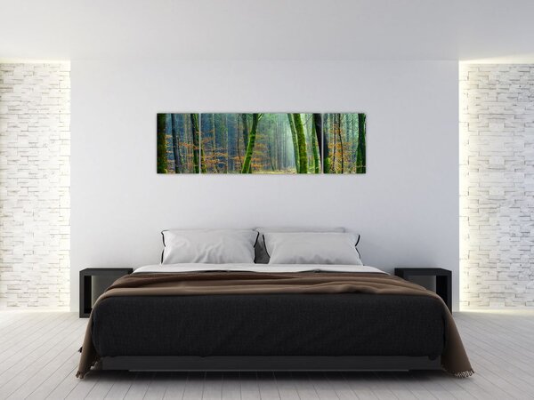 Obraz lasu (170x50 cm)
