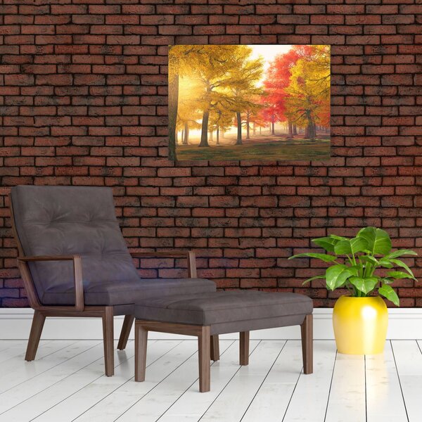 Obraz jesiennych drzew (70x50 cm)