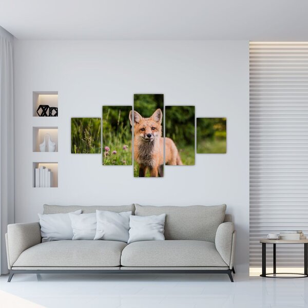 Obraz lisa (125x70 cm)