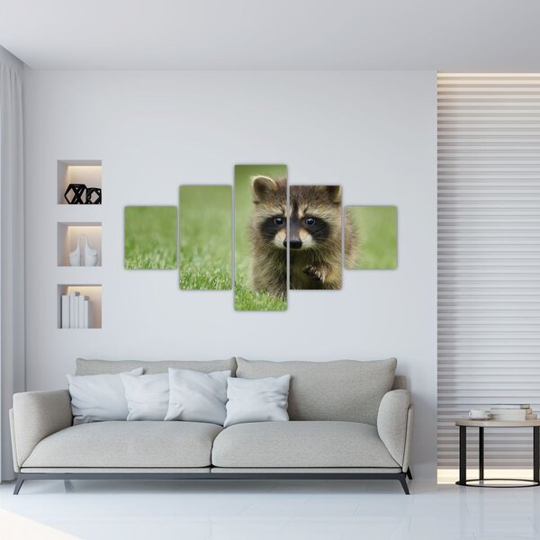 Obraz szopa pracza (125x70 cm)