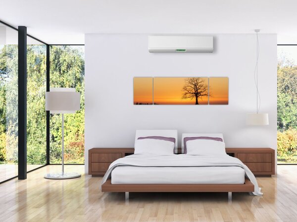 Obraz zachodu słońca na łące (170x50 cm)