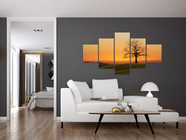Obraz zachodu słońca na łące (125x70 cm)